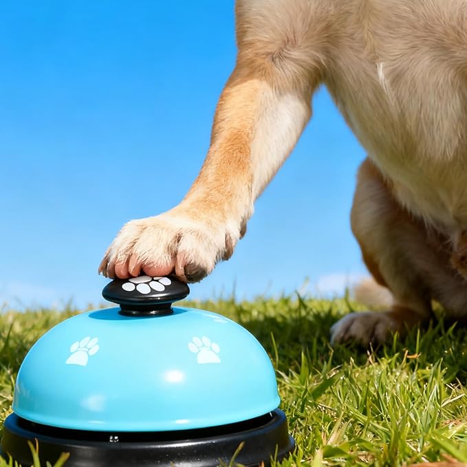 Call Bell Front Desk Bell Service Bell Desk Bell for Service Metal Counter Ringing Bell for Desk Ring Bell for Service Pet Training Bells for Food Line School Restaurant Hotel Office 2.8 in