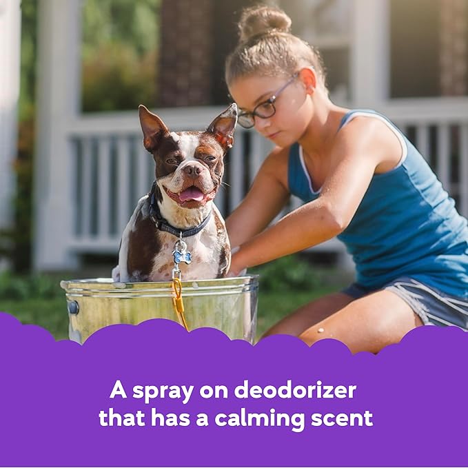 Buddy Splash Spritzer & Conditioner for Dog Grooming, Lavender & Mint, 4 Oz. Bottle