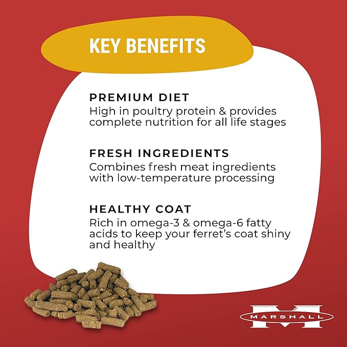 Marshall Premium Ferret Diet Dry Food – 22 oz – Supports Digestion, Energy & Muscle Maintenance – Balanced Small Animal Food with Vitamins & Essential Minerals