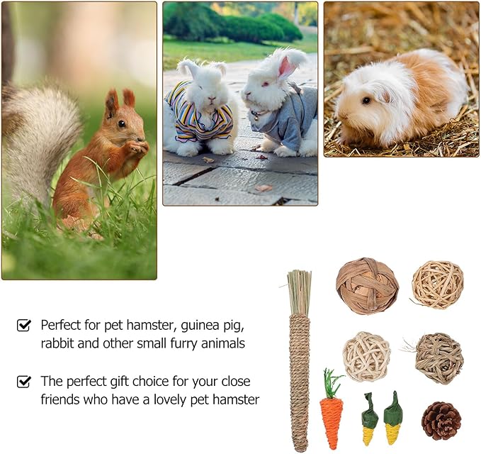 Beaupretty 9pcs Rabbit and Hamster Chew Set for Teeth Cleaning, Natural Wood Molar, Small Animal Dental Care Accessories for Bunnies, Guinea Pigs, and Chinchillas