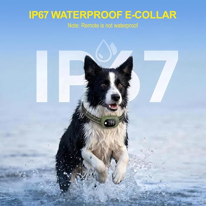 Shock Collar for Dogs & Dog Bark Collar - with 2600FT Range, 100 Levels Sensitivity, IP67 Waterproof for Small, Medium, Large Dogs (Green)