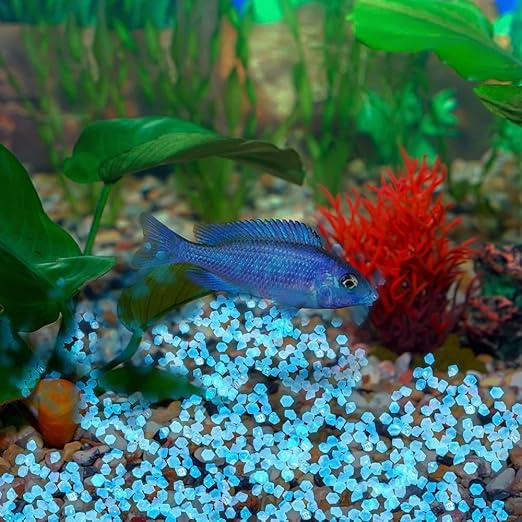 200PCS Glow Stones Pebbles, Gardening Luminous Glow Stones Rocks Outdoor Decor Glowing Water Fish Tank Gravel (White in Daytime, Blue in The Dark)