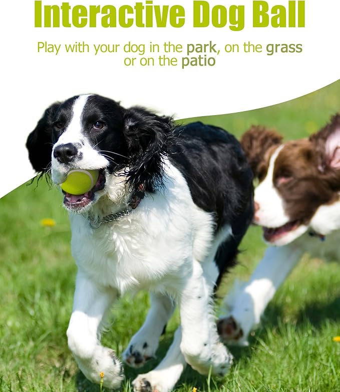 15 Pack Small Tennis Balls for Dogs, Easy Catching Pet Balls for Exercise and Fetch, 2-inch Dog Tennis Ball, Interactive Toys