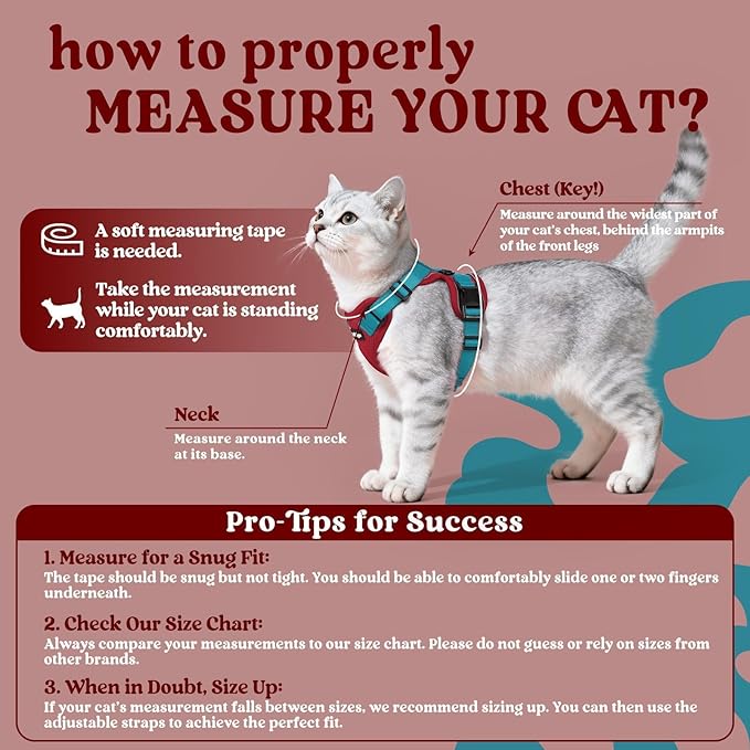 rabbitgoo Cat Harness and Leash for Walking, Escape Proof Soft Adjustable Vest Harnesses for Cats, Easy Control Breathable Reflective Strips Jacket, Red & Teal, M