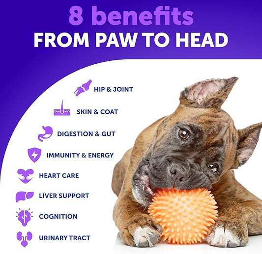 26 in 1 Dog Multivitamin with Glucosamine - Chewable Dog Vitamins and Supplements - Senior & Puppy Multivitamin Chews for Pet Hip & Joint Support, Immunity, Mobility, Skin, Digestion - 70 Soft Treats