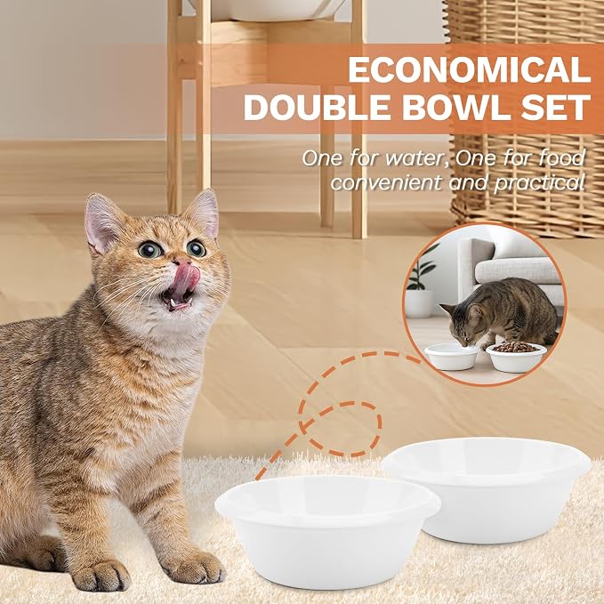 2PCS Cat Bowls Pet Feeding Dish 6.3 Inch, Wide Pet Bowl Pet Feeding Bowl for Indoor Cats, Replacement Food and Water Bowl, Wide Shallow Feeder Bowls for Kitten, Puppy, Rabbit (White)