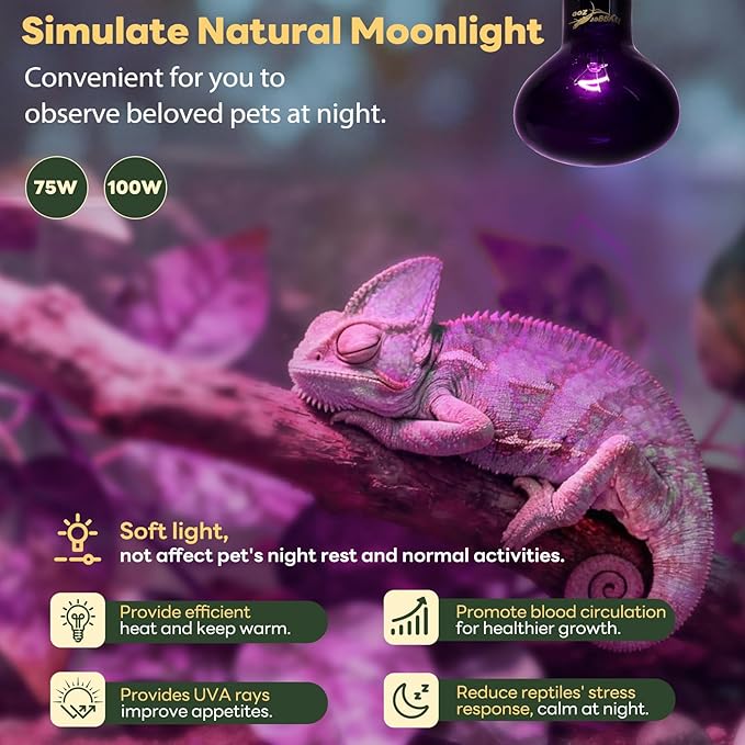Reptile Heat Lamp, 2 Pack 75W Heat Lamp Bulbs Reptile Night Heat Bulb Basking Light for Bearded Dragon Chameleon Turtle Snake Gecko Lizard Chicken Tank Accessories, Purple