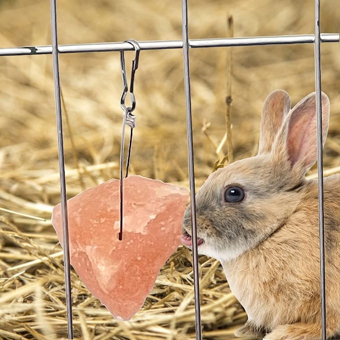 PINVNBY 12 Pieces Rabbit Himalayan Salt Lick Block,Pink Small Pets Natural Mineral Salts Blocks with Hook Hanging Small Animals Treat Chew Toys for Rabbits Horses Bunny
