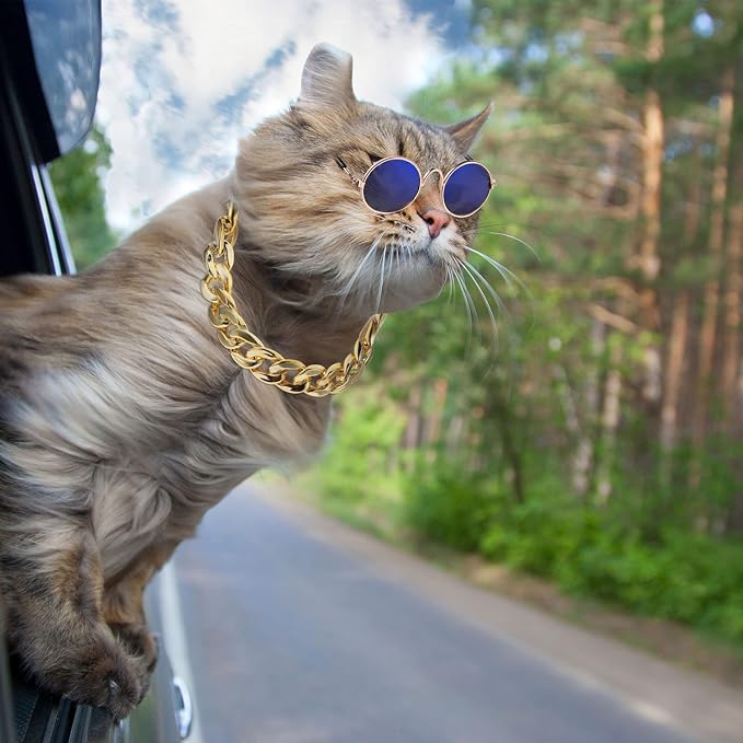 Weewooday 7 Pcs Dog Sunglasses Cats Sunglasses with 2 Gold Chain Retro Round Metal Glasses Funny Cute Cosplay Costume for Small Pet(Fresh Colors,Delicate Style)