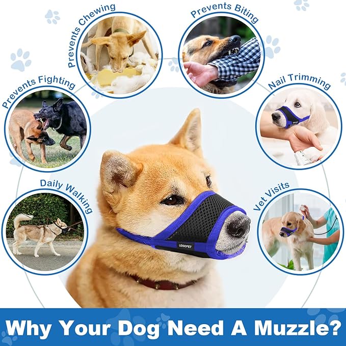 Dog Muzzle, Soft Mesh Nylon Design with Adjustable Neck Strap, Allows Panting and Drinking, for Grooming, Walks, and Scavenging Prevention - Blue, Medium