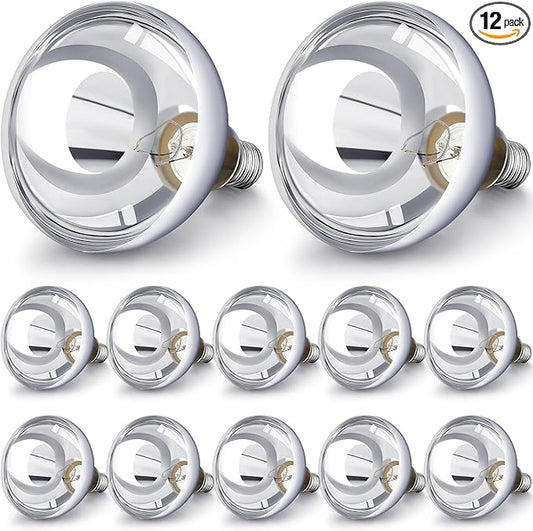 VIHOSE 12 Pack 250 Watt Heat Lamp 120v R40 Heat Lamp Bulbs Glass Incandescent Light Bulbs Incandescent Heating Lightbulbs for Reptiles Chicks Food Puppies Bathroom, Use E26 Base (Silver)