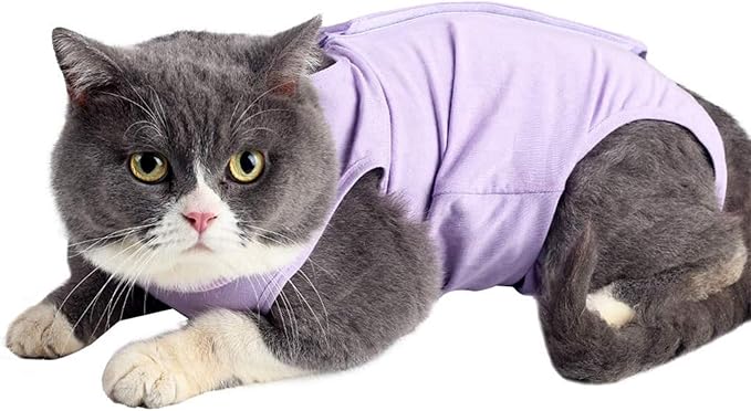 kzrfojy Cat Surgery Recovery Suit Cat Onesie for Cats After Surgery Spay Surgical Abdominal Wound Skin Diseases E-Collar Alternative Wear (Purple-L)