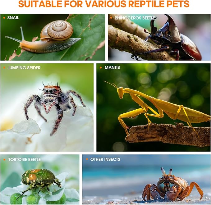 Jumping Spider Enclosure, Insect Terrarium, Bug Cage, Acrylic Terrarium for Tarantula, Snail, Praying Mantis, Frog, and Small Reptiles (4.7" x 4.3" x 7.8")