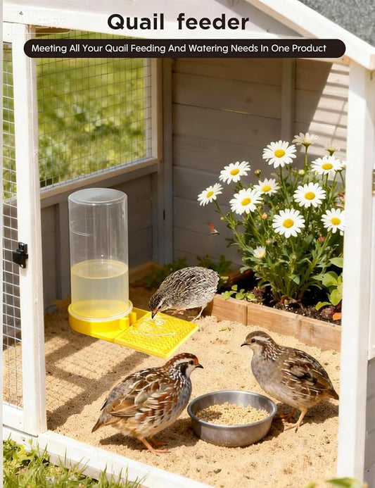 Large Capacity Quail Water Feeder,Button Quail Supplies for Quails Cage, Multi-Use as Quail Feeder, Quail Waterer, Chick Waterer,Baby Chick Waterer, Ideal Quail Feeders for Baby Bird