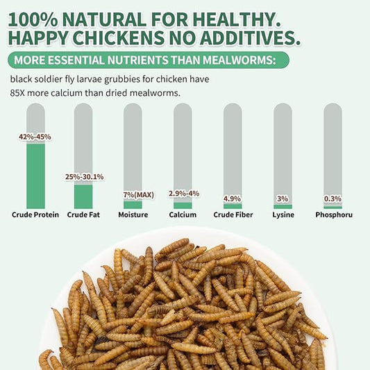 5LB Dried Black Soldier Fly Larvae for Chickens,High Calcium,Non-GMO,60-100X More Calcium Than Mealworms,Treat for Laying Hen,Ducks,Wild Birds,Turtles