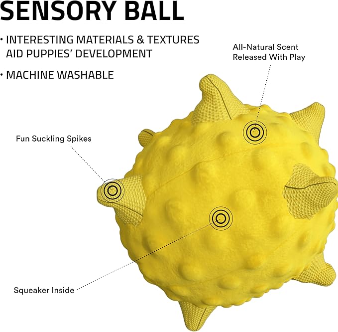 Playology Dog Toys | Plush Sensory Ball for Large Puppies and Young Dogs | Chicken Scented Jumbo Dog Ball Chew Toy | Teething Puppy Essentials