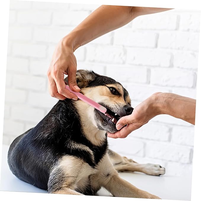 Healifty 3pcs Soft Bristles Pet Toothbrushes Kit for Dogs Cats and Rabbits Small Micro Head Oral Care Brushes with Handles for Gentle Cleaning