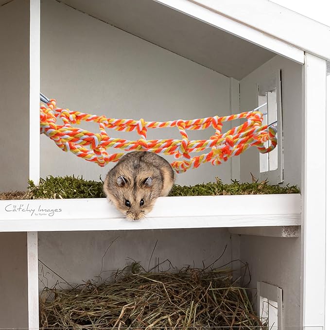 2 Pieces Rat Cage Accessories Rat Toys Climbing Bird Rope Net Pet Hanging Hammock for Hamster, Mice, Parrot, Bird, Sugar Glider Habitat Decor and Play(11 x 7.8 Inch,Multi Color)