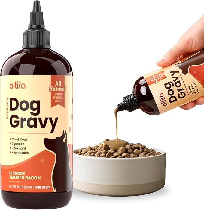 Everyday Dog Gravy - Wet Dog Food Topper for Dry Food with Glucosamine, MSM, Chicken Bone Broth, Omega 3, Probiotics and Taurine - Skin, Coat, Heart, Hip and Joint Support, 16 oz (Bacon