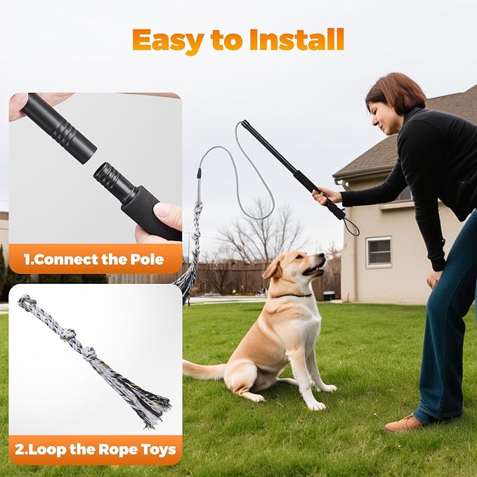 Pragmatist Outdoor Flirt Pole for Dog, Detachable Dog Flirt Pole Heavy Duty Sturdy Pet Toys for Outdoor Exercise & Training Durable Teaser Wand Interactive Toy for Small Medium Large Dogs, Black