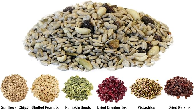 Backyard Seeds Fruit Frenzy No-Waste Bird Seed Mix 5lbs - Premium Blend with Pumpkin Seeds, Cranberries & Pistachios, Small Bag of Wild Bird Food
