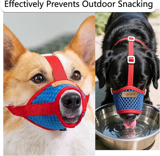 Basket Muzzle for Dogs, Prevents Biting Chewing Barking, Soft Breathable Design with Adjustable Strap, Allows Panting and Drinking, Great for Training Grooming Vet Visits (Red-Blue, Medium)