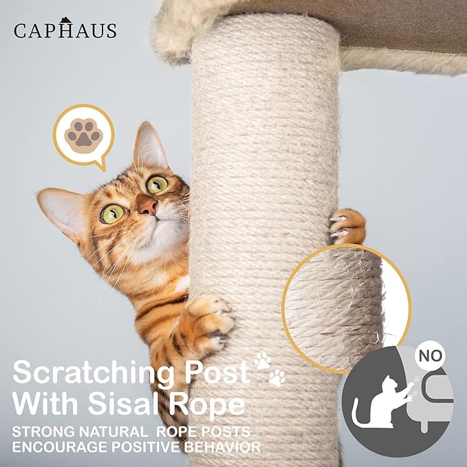 CAPHAUS Cat Tower for Indoor Cats, Modern Cute 40-Inch Small Cat Tree with Widened Perch for Large Cats Kittens, Multi-Level Cat Activity Tree with Scratching Posts, Tunnel, Basket, Cat Cave Condo