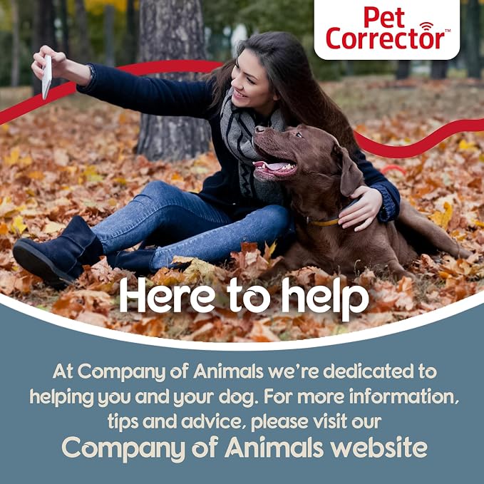 Pet Corrector Dog Trainer Twin Pack - Stops Barking, Jumping Up, Place Avoidance, Food Stealing, Fights & Attacks. Help stop unwanted dog behaviour. Easy to use, safe, humane, and effective (30ml)
