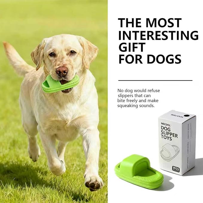 MECOOL Squeaky Slipper Dog Toy - Chew Toys for Aggressive Chewers, Durable Rubber Chew Toy for Dental Cleaning & Boredom Relief, for Small Medium Dogs, Green