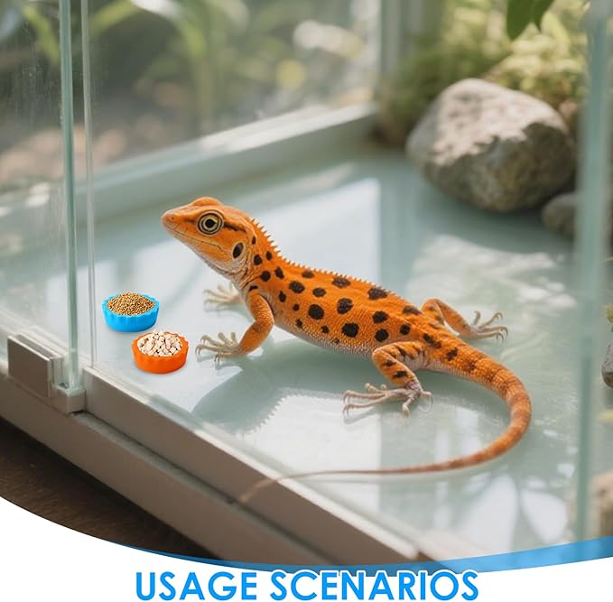 6 Pcs Crested Gecko Food and Water Bowl with 1 Spoon, Reptile Feeding Cups for Lizards, Isopods & Small Pets, Easy-Clean Silicone Set