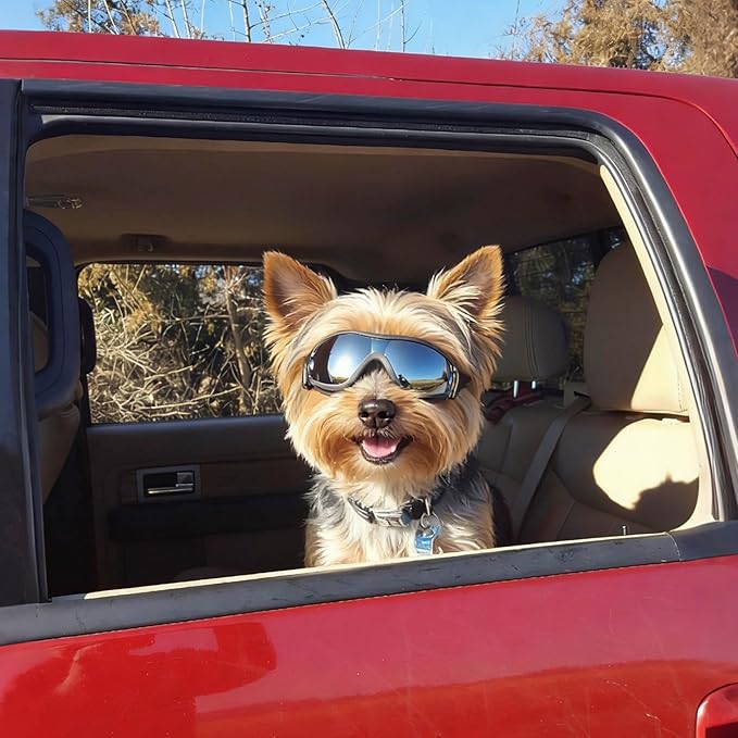 Enjoying Dog Sunglasses for Small Dogs, UV Protection Pet Goggles for Small Dog Breeds, Windproof Dust-Proof, Little Dog Eye Protection for Outside Cycling Driving, Adjustable Straps, Black