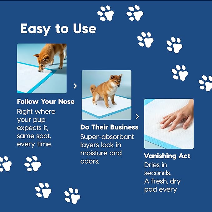 IRIS USA Puppy Pads 100 Count, Dog Training Pads 22"x22", Super Absorbent Leakproof Pee Pads for Dogs, Quick Dry Disposable Potty Training Supplies