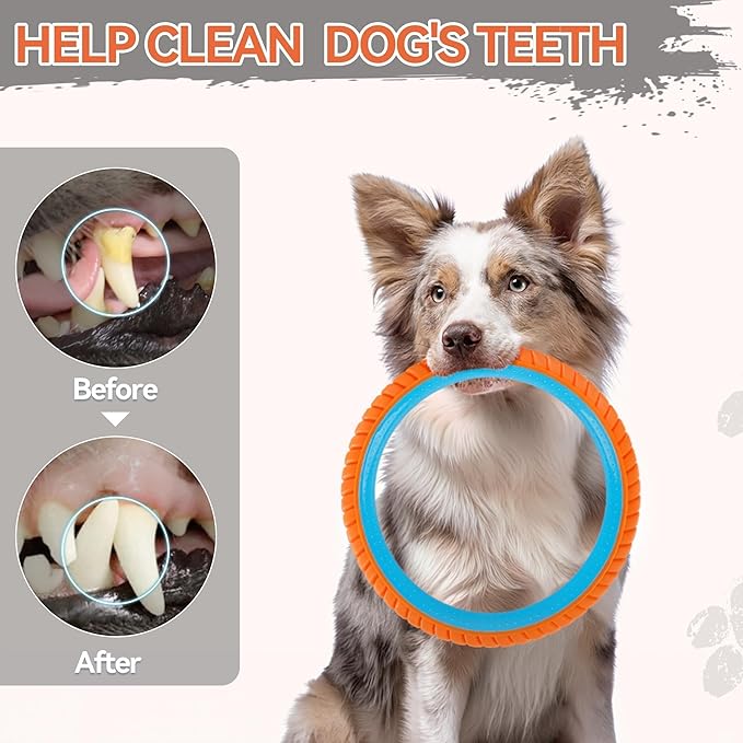 ALL FOR PAWS 10.8" Dog Ring Toy, Interactive Dog Toy for Fetch & Tug of War, Rubber Dog Toy for Medium to Large Dogs, Outdoor Dog Toy for Training & Exercise, Anxiety Relief & Boredom