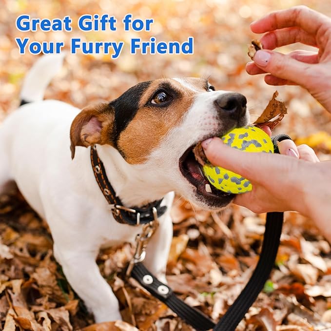 Dog Ball Toys Dog Tennis Ball for Aggressive Chewers Indestructible Bouncy Lightweight Water Toy Fetch Ball for Large Medium and Small Dog