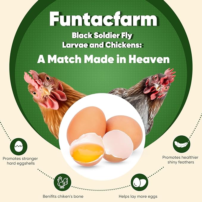 10LB Dried Black Soldier Fly Larvae for Chickens, High Protein Chicken Feed Superior to Meal Worms for Wild Birds & Chicken Treats for Laying Hens