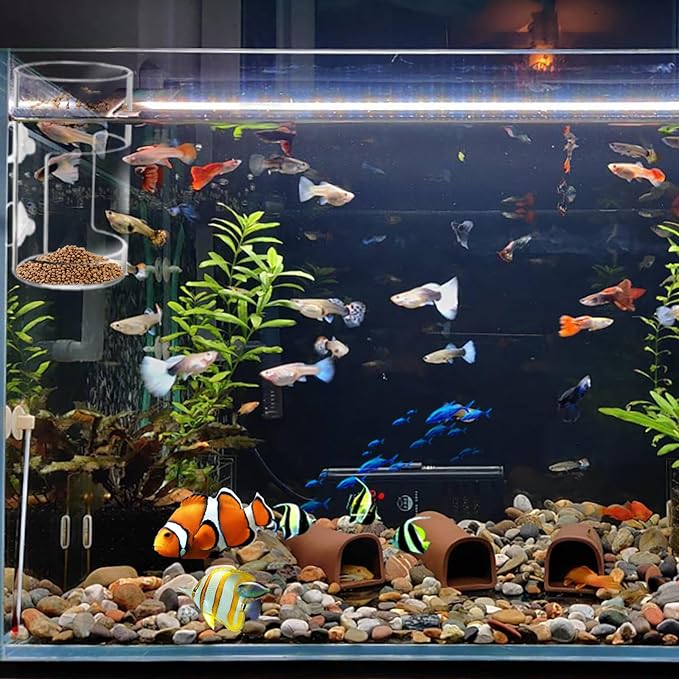 1 Piece Aquarium Fish Feeding Tube with Tank Feeder Ring Aquarium Food Feeders Practical Aquariums Accessories Ideal for Vacation Use and Breeder Box Setup