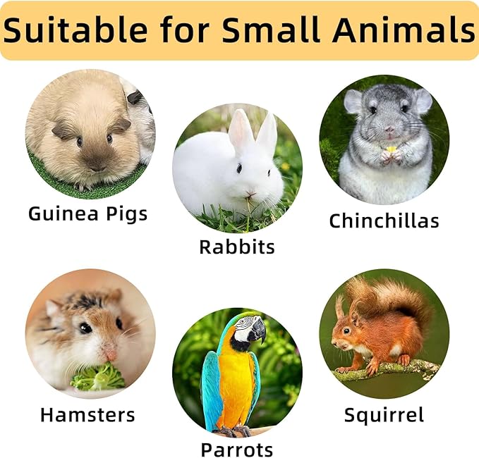 Hamster Chew Toy with Timothy Hay Grass Mat Coconut Husk Box for Guinea Pig Chinchilla Rat Hamster Bunny and Other Small Pets 12PCS (Large)