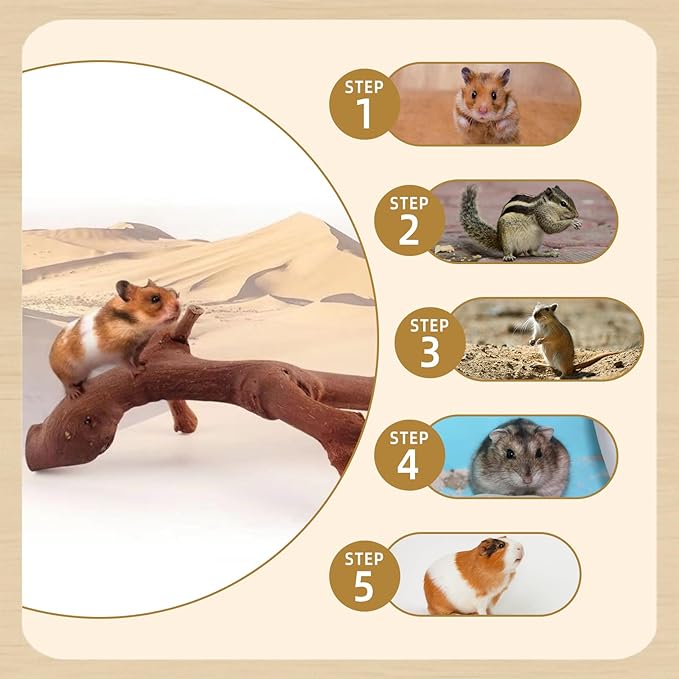 kathson 2Pcs Wood Hamster Climbing Branches Decor, Natural Wooden Syrian Hamster Climb Chewing Toys, Rat Exercise Toys, Small Animal Habitat Decor Accessories for Dwarf Pets, Mice, Gerbils