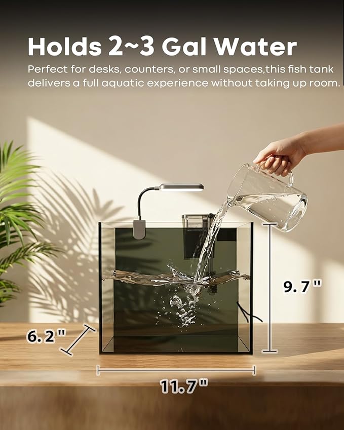 3 Gallon Aquarium Set Small Fish Tank Glass, Starter Kit with Heater Water Pump Cleaning Filter Bright Light Rocks Gravel Cleaning Tool, Leak-Proof Clear Rimless Desktop Spaces Saving Betta Fish