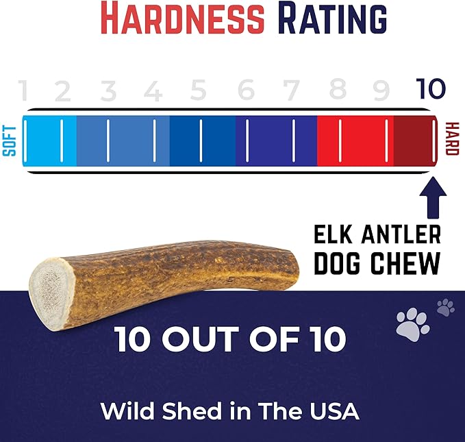 Devil Dog Pet Co. Elk Antlers for Dogs, Natural Dog Chew for Aggressive Chewers - Long Lasting and Odor Free - USA Sourced - Cleaner Teeth, Anxiety & Boredom Relief - Whole Small 4"+ - Antler Bone