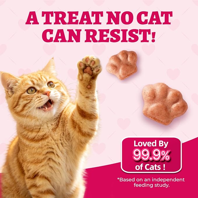 Wellix 29.45 oz Urinary Tract Health Cat Treats for Indoor Cats - Cranberry&D-Mannose for UT,Kidney,Bladder Support - Chicken Formula Crunchy Kitten Training Snacks Chews