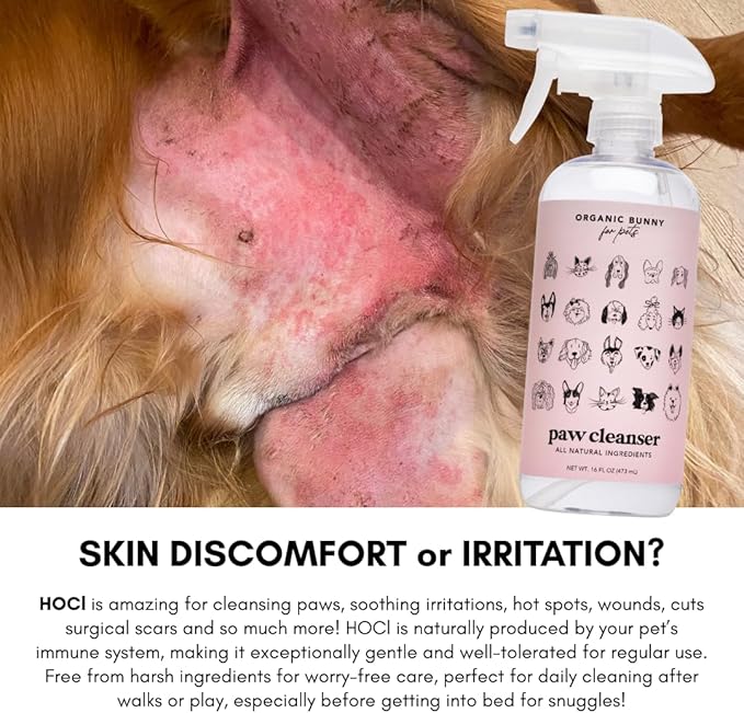for Pets Paw Cleanser – No‑Rinse, Lick-Safe Unscented Natural Spray to Soothe, Cleanse, and Deodorize for Pets – Safe & Hypoallergenic Formula for Dogs & Cats – 16 Oz.