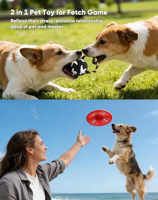 Deeow Alieen Dog Frisbee for Fetch, Teething Clean Outdoor Flying Disc, Interactive Squeaky Dogs Toy for Outdoor Pool, Park, Beach, Bye one get one Gift Black Jack-o-Lantern/Halloween Pumpkin Pet Toy