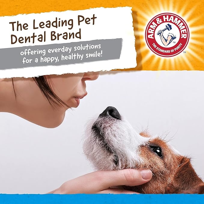 Arm & Hammer Nubbies Gator Dental Chew Toy for Dogs, Mint Flavor, Baking Soda Infused, Scrubbing Grooves to Reduce Plaque and Tartar, No Stuffing, for Moderate Chewers - 2 Pack
