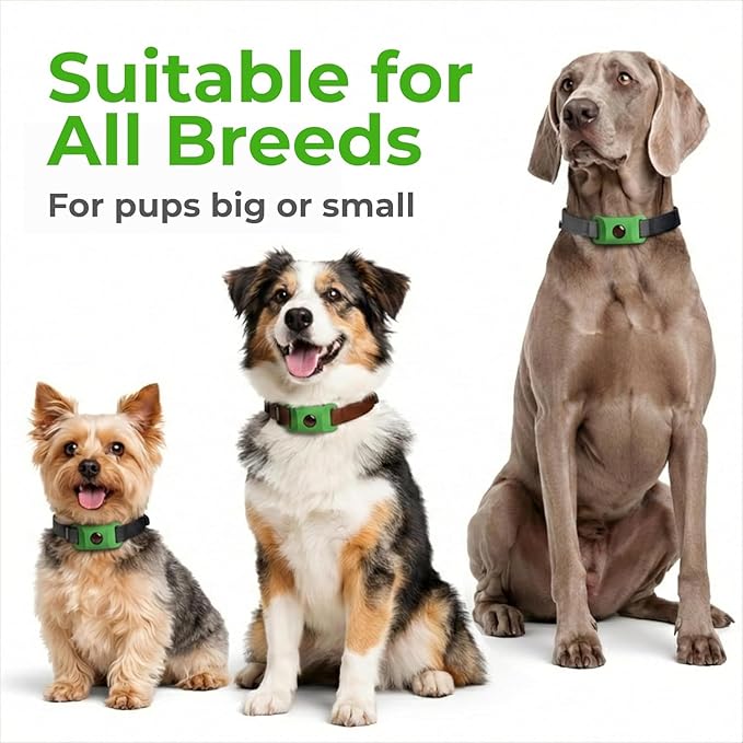 FurLife Green Dog Tag, Flea and Tick Prevention for Dogs - Waterproof Pendant for Collar, Safe for All Breeds
