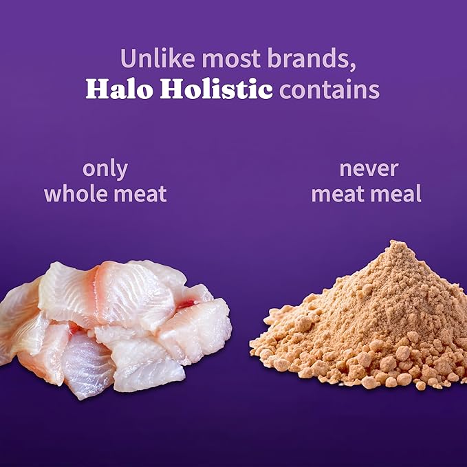 Halo Holistic Cat Food Wild Caught Whitefish Formula, Healthy Grains Dry Cat Food, For Sensitive Stomach Support, Kibble for Adult Cats, 3 lb Bag