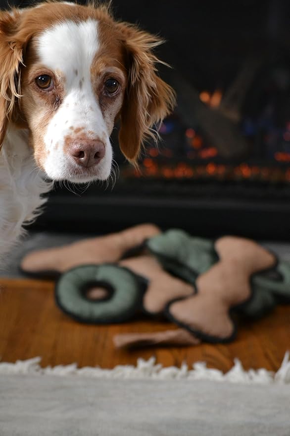 Ultra Tough Dog Toy (Bone – Large)