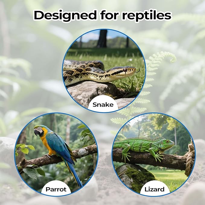 2 Pack Snake Climbing Rings for Ball Python & Corn Snake,Reptile Enrichment Toys for Snake,Ball Python Tank Decor,Reptile Tank Accessories for Bearded Dragon,Chameleon, Iguana, Gecko, Lizard (Green)