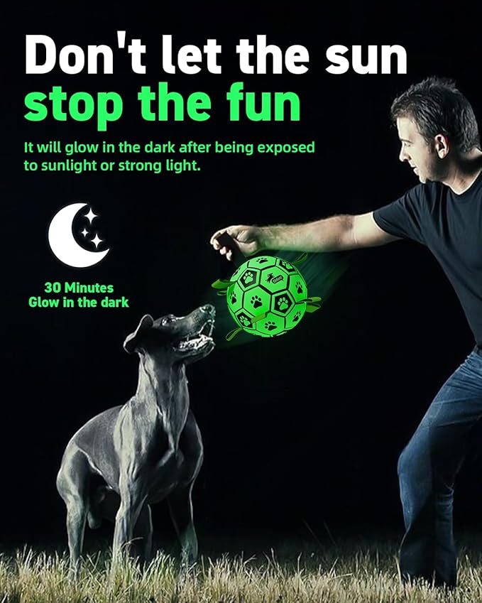 QDAN Premium Dog Ball, Glow in The Dark Dog Toys, Light Up Soccer Ball for Dogs, Outdoor Dog Toys, Doggy Water Toy, Puppy Birthday Gifts for Small Medium (6 Inch)