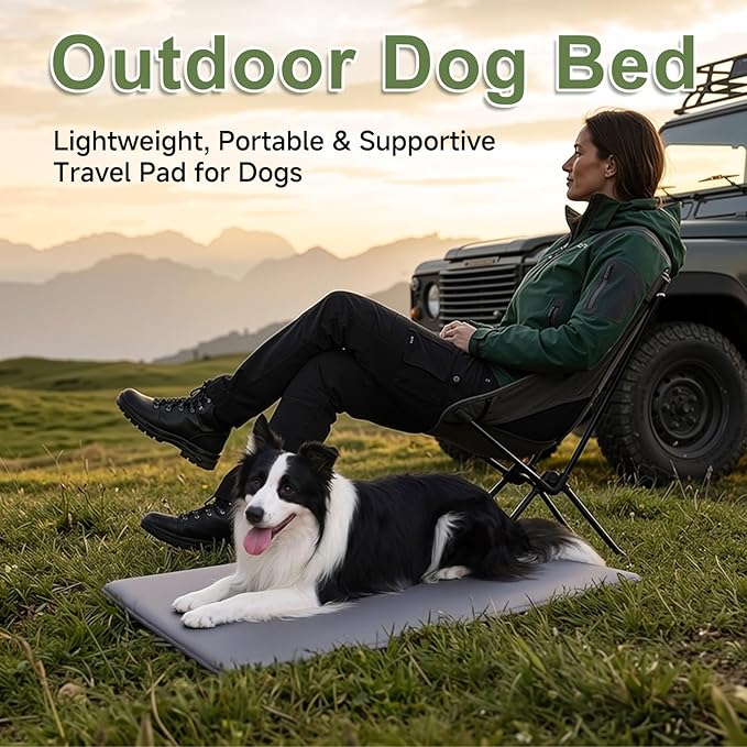XL Dog Crate Pad, Double-Sided Waterproof Crate Mat Bed, Outdoor Kennel Mat Pet Sleeping for Medium Large Dogs, Waterproof, Wipeable, Anti-Slip, Kennel Pad 41 x 27 Inch, Dark Gray